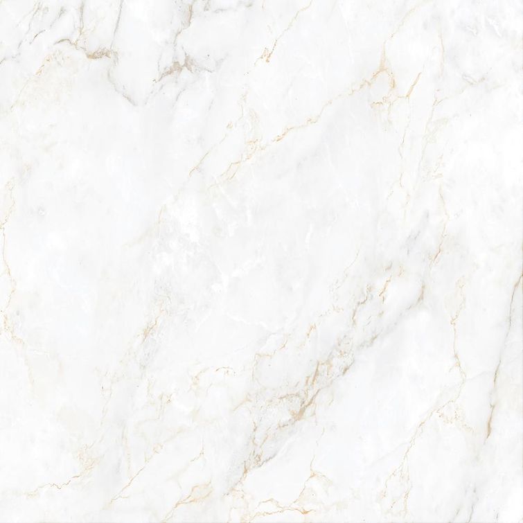 ppi70000r-f1-33fa8d6e41-1000_x_1000 ppi70000r-f1-33fa8d6e41-1000_x_1000