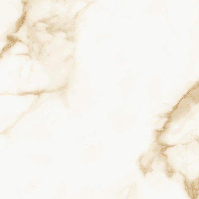 ppi70160r-f1-712e669f86-1000_x_1000 ppi70160r-f1-712e669f86-1000_x_1000