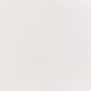 porcelanato_elizabeth_60_x_60_super_bianco_natural_esc_1_8m_101635_1_b8a1c0f9f3229135095227d17c581426