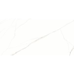 STATUARIO-61X120-62X121-F1