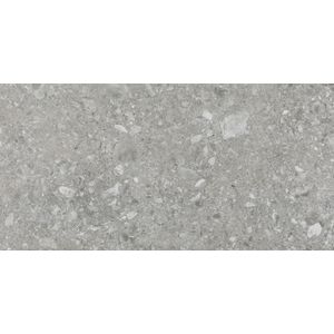 eliane-iseo-grigio-ac-60x120cm-01